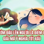 Bướm Đậu Lên Người Là Điềm gì? Giải Mã Ý Nghĩa Tốt Xấu
